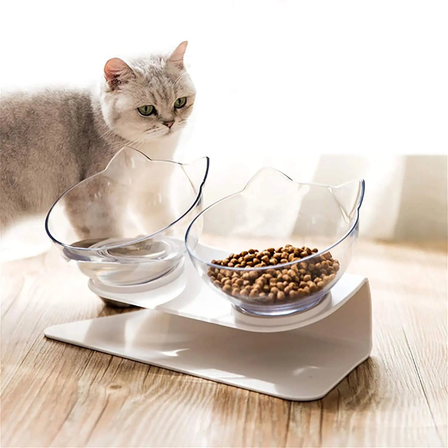 PawGen Anti-Vomit Elevated Bowl