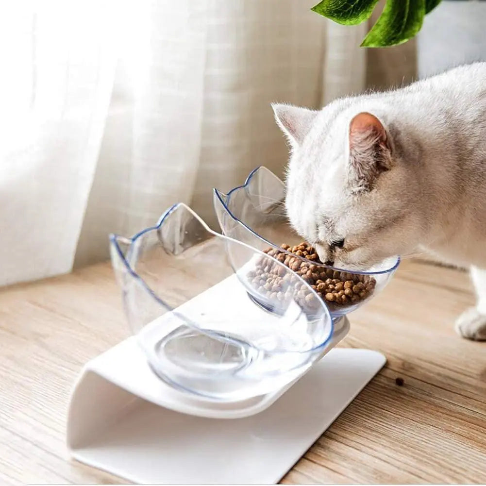 PawGen Anti-Vomit Elevated Bowl detail