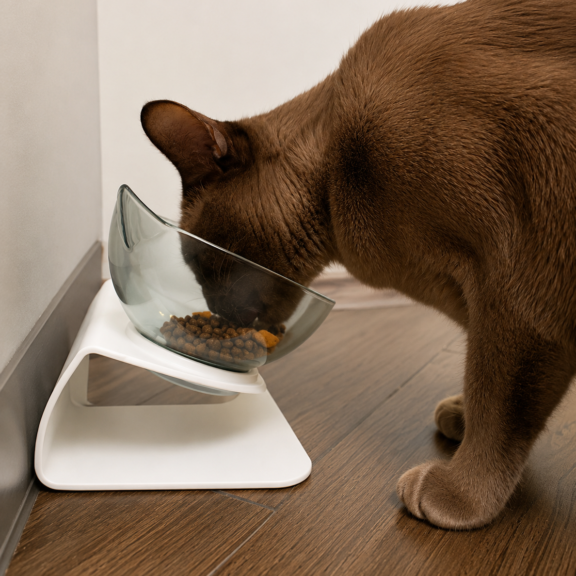 PawGen™ Anti‑Vomit Elevated Cat Feeder